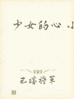 少女的心 小说