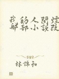 我的人间烟火是哪部小说改编的