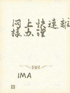 网上快速离婚怎样办理