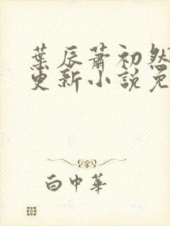 叶辰萧初然最新更新小说免费阅读