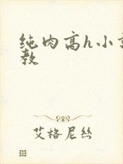 纯肉高h小说调教