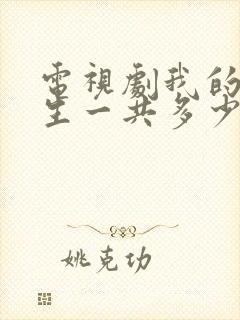 电视剧我的前半生一共多少集