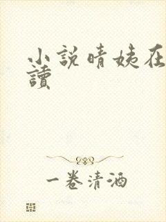 小说晴姨在线阅读