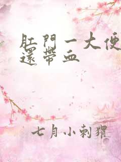 肛门一大便就疼还带血