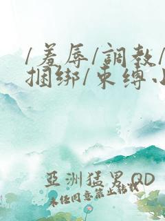 /羞辱/调教/捆绑/束缚小说