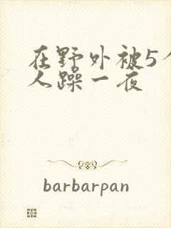 在野外被5个男人躁一夜