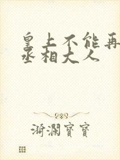 皇上不能再进了丞相大人