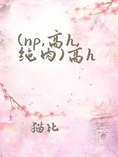 (np,高h,纯肉)高h