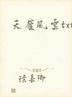天庐风云txt