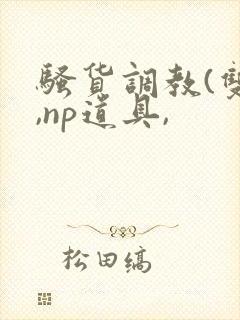 骚货调教(双性,np道具,