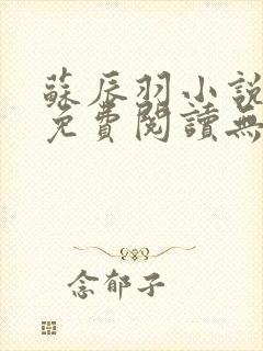 苏辰羽小说全文免费阅读无弹窗最新章节