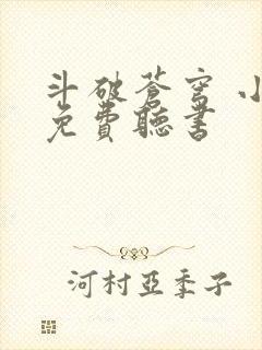 斗破苍穹 小说免费听书