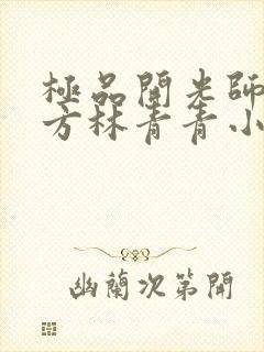 极品开光师李南方林青青小说免费阅读