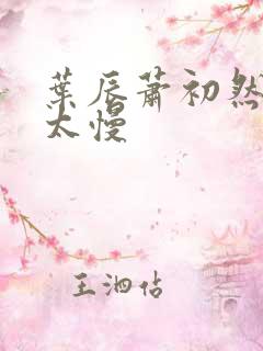 叶辰萧初然更新太慢