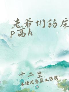 老爷们的床奴np高h