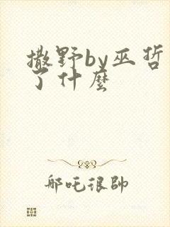 撒野by巫哲讲了什么