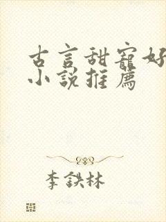 古言甜宠好看的小说推荐