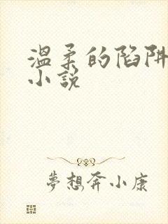 温柔的陷阱周芸小说