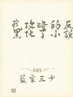 我攻略的反派都黑化了小说