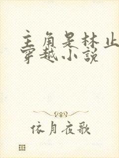 主角是林止陌的穿越小说