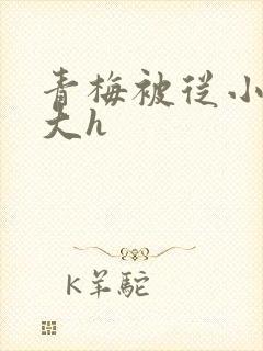 青梅被从小摸到大h