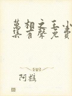 万相之王小说全集有声免费听