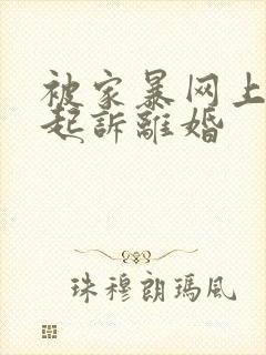 被家暴网上怎么起诉离婚