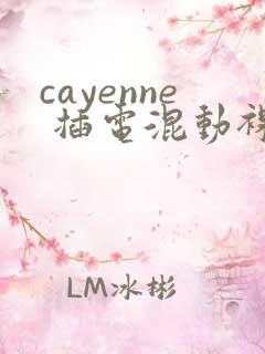 cayenne 插电混动裸车价