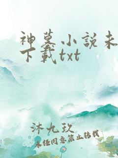 神墓小说未删版下载txt