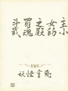 斗罗之女主加入武魂殿的小说