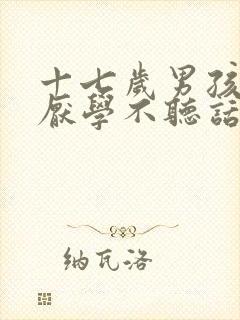 十七岁男孩叛逆厌学不听话