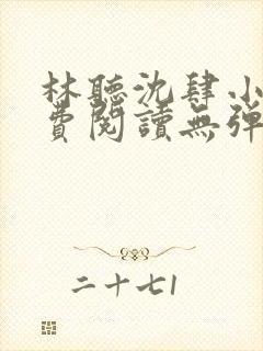 林听沈肆小说免费阅读无弹窗