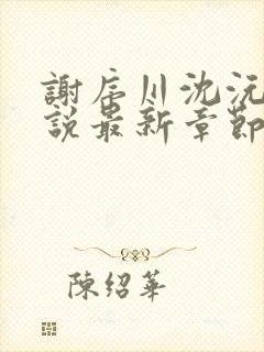 谢序川沈沅珠小说最新章节免费阅读