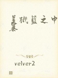 美职篮之中国风暴