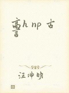 高h np 古言