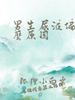 男生尿液偏红什么原因