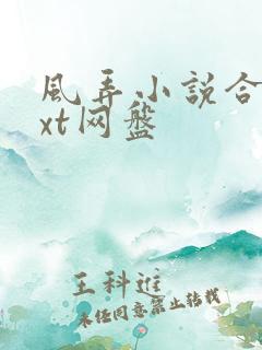 风弄小说合集txt网盘