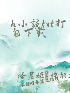 h小说txt打包下载