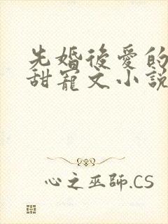 先婚后爱的古言甜宠文小说