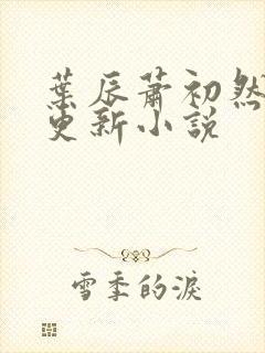 叶辰萧初然最快更新小说