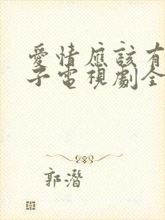 爱情应该有的样子电视剧全集免费