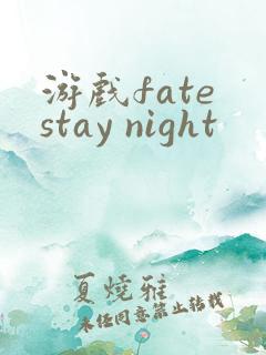 游戏fate stay night