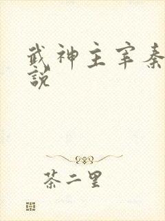 武神主宰秦尘小说