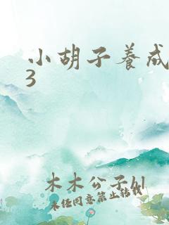 小胡子养成计划3