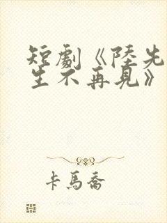 短剧《陆先生余生不再见》