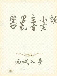 双男主小说文一口气看完