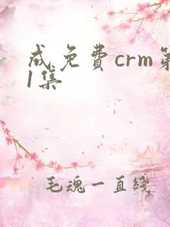 成免费crm第1集
