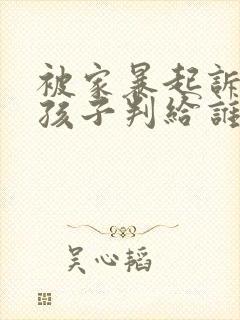 被家暴起诉离婚孩子判给谁