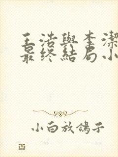 王浩与李洁赘婿最终结局小说全文免费