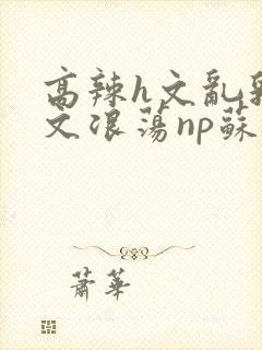 高辣h文乱乳h文浪荡np苏夏